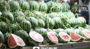 吉林市吃瓜网顾馨予,顾馨予带你领略本地美食风情