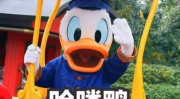 娱乐吃瓜鸭图片,揭秘娱乐圈那些不为人知的幕后故事